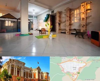 پانسیون گربه در خوی