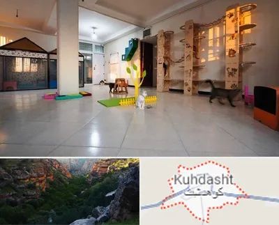 پانسیون گربه در کوهدشت