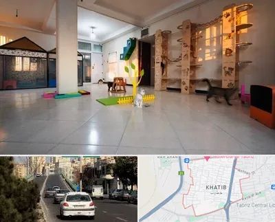 پانسیون گربه در خطیب تبریز