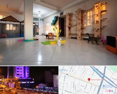 پانسیون گربه در آبرسان تبریز