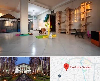 پانسیون گربه در باغ فردوس