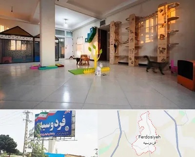 پانسیون گربه در فردوسیه شهریار