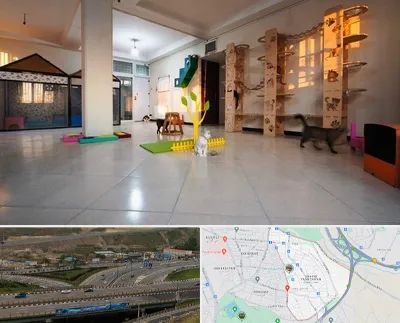 پانسیون گربه در یاغچیان تبریز