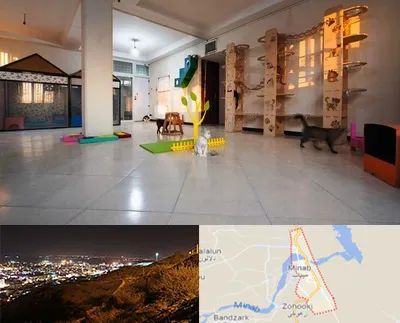 پانسیون گربه در میناب