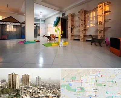 پانسیون گربه در منطقه 5 تهران 