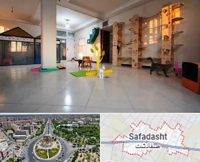 پانسیون گربه در صفادشت