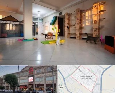 پانسیون گربه در قائمیه اسلامشهر