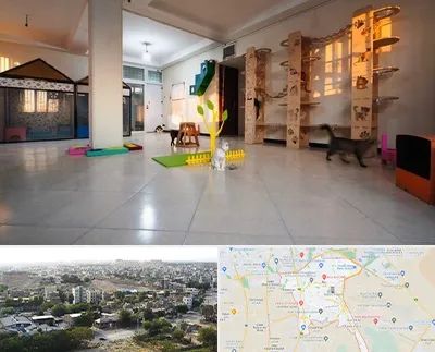 پانسیون گربه در منطقه 20 تهران 