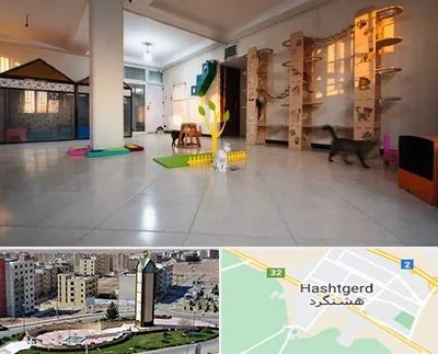 پانسیون گربه در هشتگرد