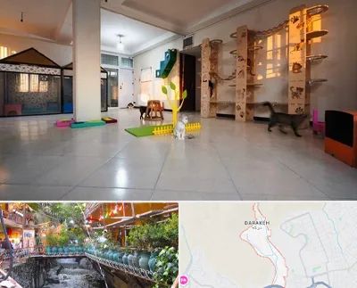 پانسیون گربه در درکه