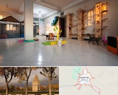 پانسیون گربه در تویسرکان