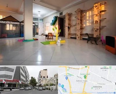 پانسیون گربه در بلوار فردوس 