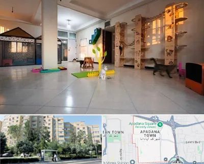 پانسیون گربه در آپادانا