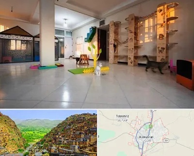 پانسیون گربه در کامیاران