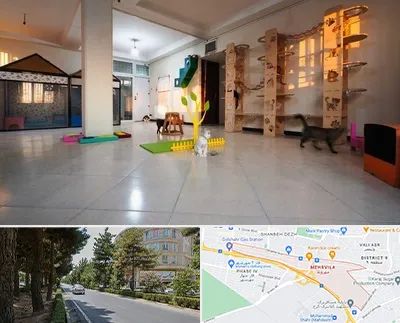 پانسیون گربه در مهرویلا کرج 