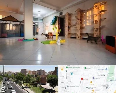 پانسیون گربه در شهرک آزمایش 