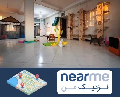 پانسیون گربه در نزدیک من