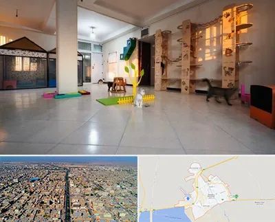 پانسیون گربه در بندر ماهشهر