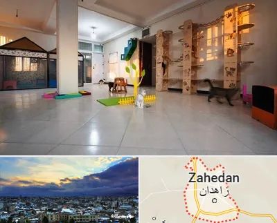 پانسیون گربه در زاهدان