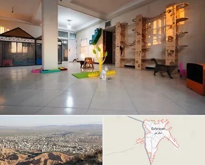 پانسیون گربه در اسفراین