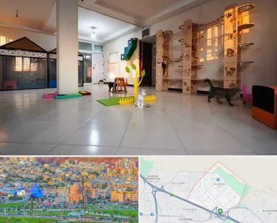 پانسیون گربه در رشدیه تبریز