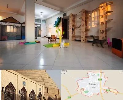 پانسیون گربه در ساوه