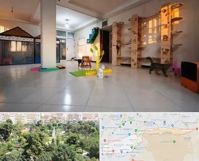 پانسیون گربه در منطقه 13 تهران 