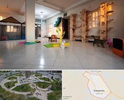 پانسیون گربه در ورامین