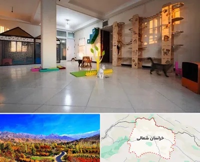 پانسیون گربه در خراسان شمالی