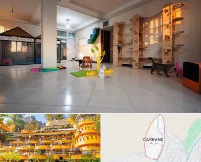 پانسیون گربه در دربند