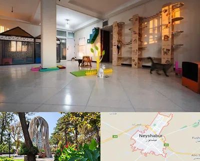 پانسیون گربه در نیشابور