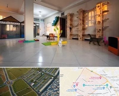 پانسیون گربه در الهیه مشهد 