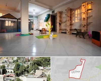 پانسیون گربه در جماران