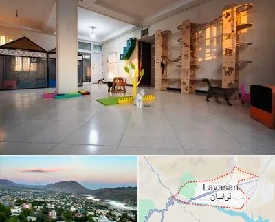 پانسیون گربه در لواسان