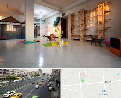 پانسیون گربه در خیابان دامپزشکی