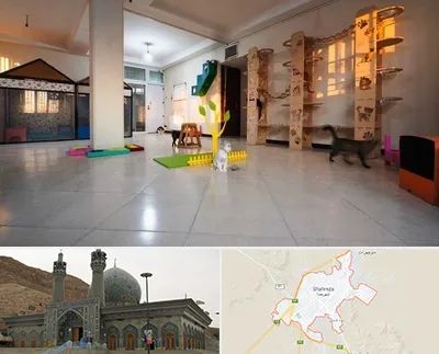 پانسیون گربه در شهرضا