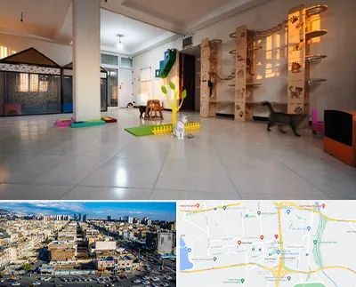 پانسیون گربه در شهرک راه آهن 