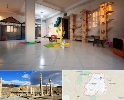 پانسیون گربه در مرودشت