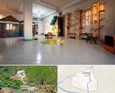 پانسیون گربه در کردان