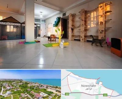 پانسیون گربه در نوشهر