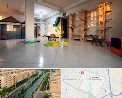 پانسیون گربه در فاز سه اندیشه
