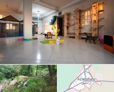 پانسیون گربه در آزادشهر