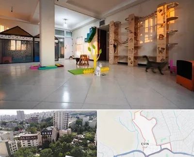 پانسیون گربه در اوین