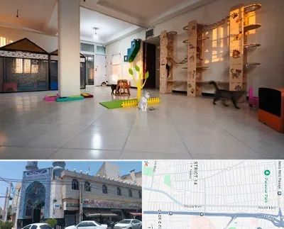 پانسیون گربه در بلوار ابوذر