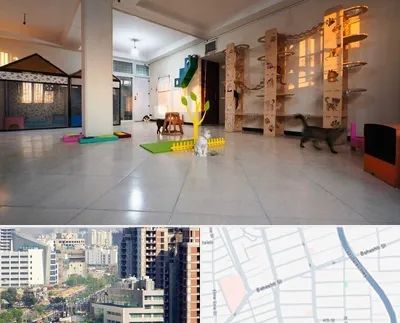 پانسیون گربه در خیابان بهشتی