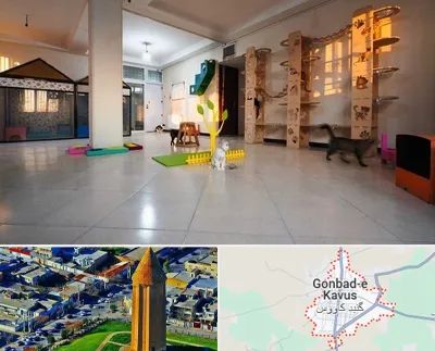 پانسیون گربه در گنبد کاووس