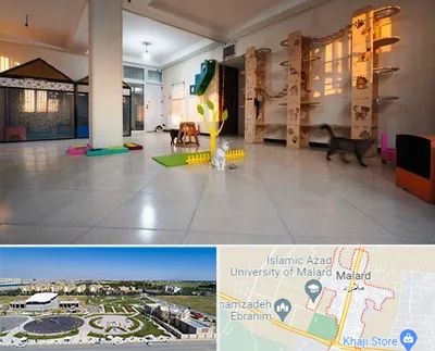 پانسیون گربه در ملارد