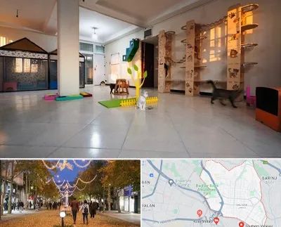 پانسیون گربه در ولیعصر ارومیه