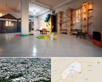 پانسیون گربه در شاهرود