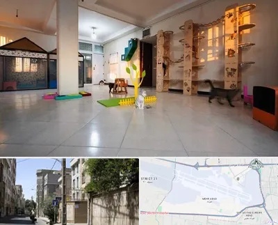 پانسیون گربه در مهرآباد